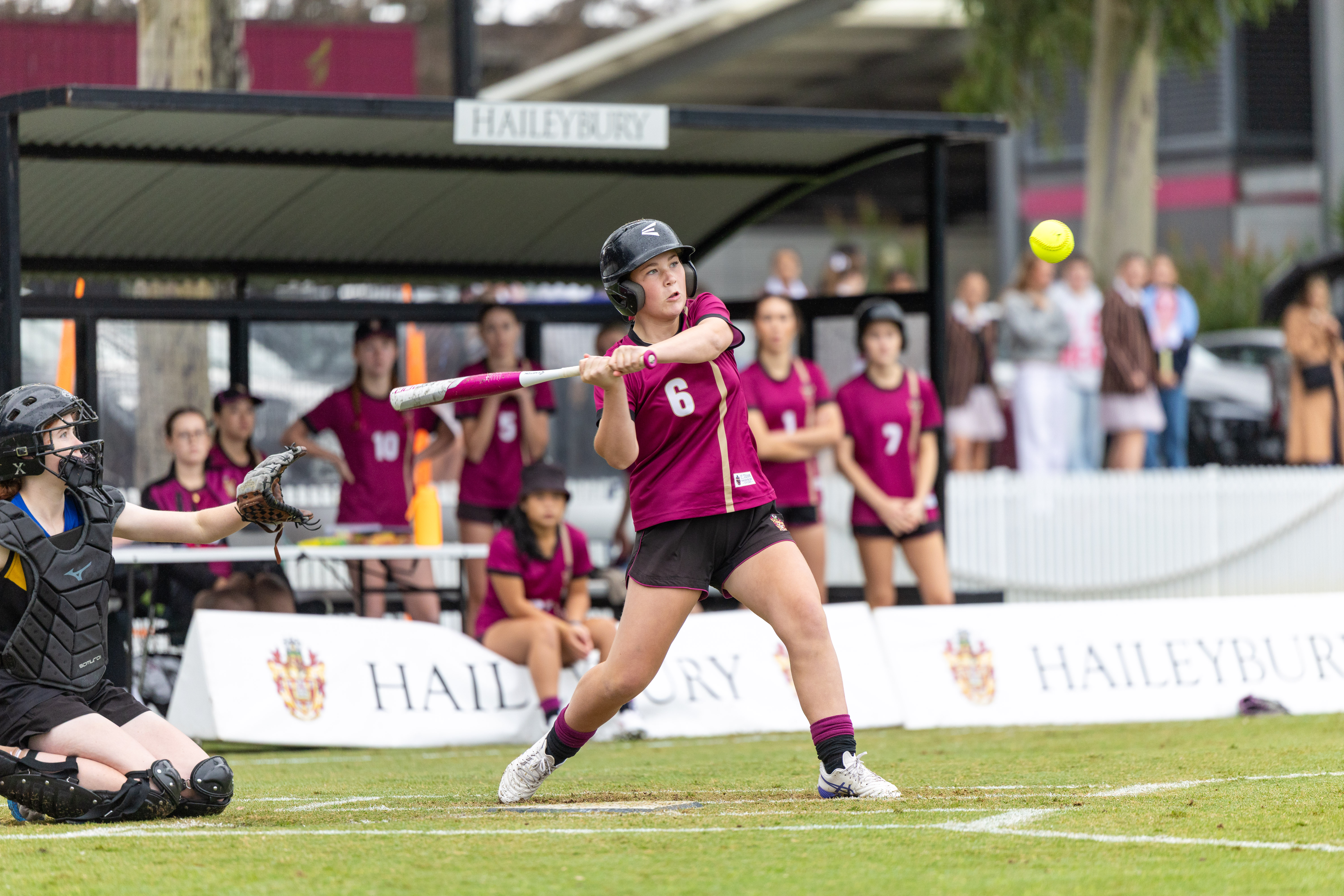 Grand final triumphs
